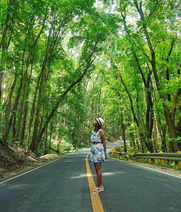 aisseewanders's tweet photo. Into the woods? A man-made forest found in Bohol, Philippines #travel #wanderlust #itsmorefuninthephilippines http://t.co/4ci9AypPvS