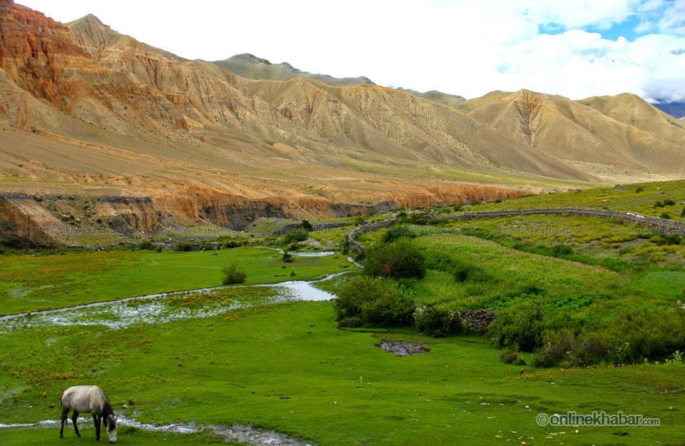 Bini_sa's tweet photo. You have to go on and be crazy.Craziness is like heaven.And Mustang is the best declared heaven,i wanna reach there. http://t.co/iLkrxeT67d