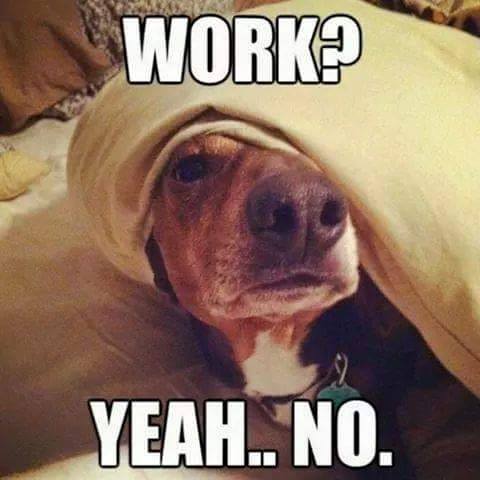 WE &lt;3 MONDAYS!