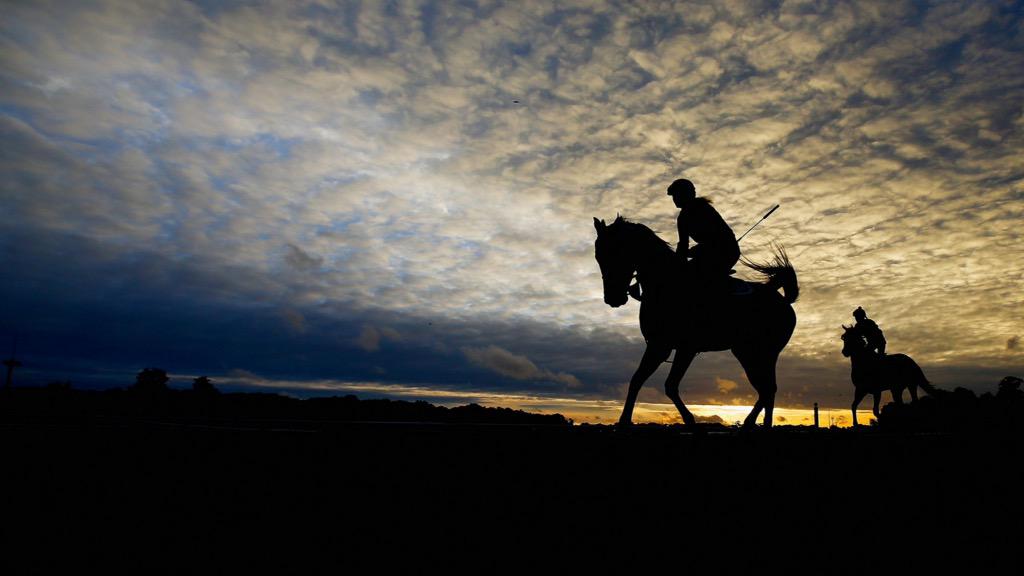 Equestriansx's tweet photo. To ride a horse is to ride the sky 💎✨ http://t.co/Y7IYog8I7G