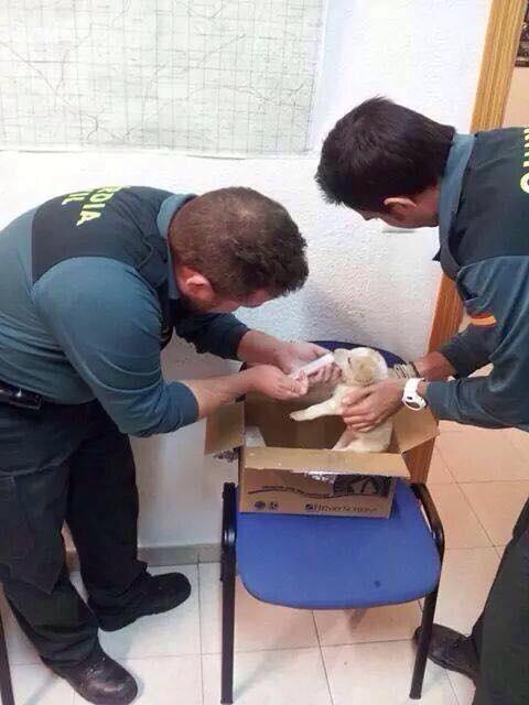 Policías por los Animales tweet media