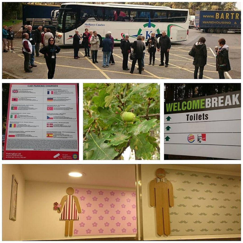 morethandreamdo's tweet photo. #reststop on the way to Stonehenge with #collettetours #burgerking even at a stop in the Uโฆ http://t.co/iKJHgRCrtu http://t.co/WXsKlU8Y7Q