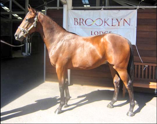 RafflesRacing's tweet photo. DIGITALISM joins G1winners #CLEANSWEEP #MRBARITONE #BRAZILIANPULSE #FIRSTSEAL #MORETHANSACRED as #RafflesBred 8 SWs! http://t.co/ryP9TGyyMk