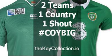 AmberleyBandB's tweet photo. Bring on the quarter-finals and the play-offs. Come on Ireland! #ShoulderToShoulder 
#YourDublin http://t.co/c551LGt1R5
