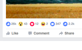 Doge For Sale tweet media