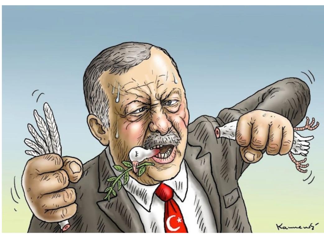 Эрдоган карикатура