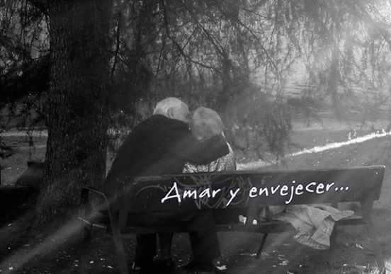 charlylpda's tweet image. 