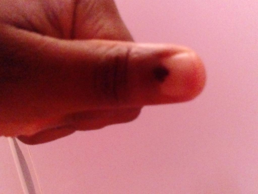 IronDuke95's tweet photo. Just voted for @SASCO_Jikelele #ReclaimingOurTerritory #SRCElections Turfloop http://t.co/VBmYuod3hh