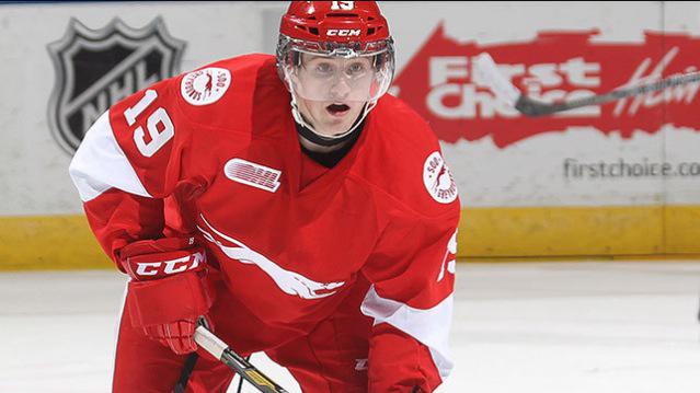 OHLUpdates_'s tweet photo. A huge congrats to @OHLHoundPower alumni Jared McCann on getting his first @NHL goal last night!! http://t.co/YXLcuCERZn
