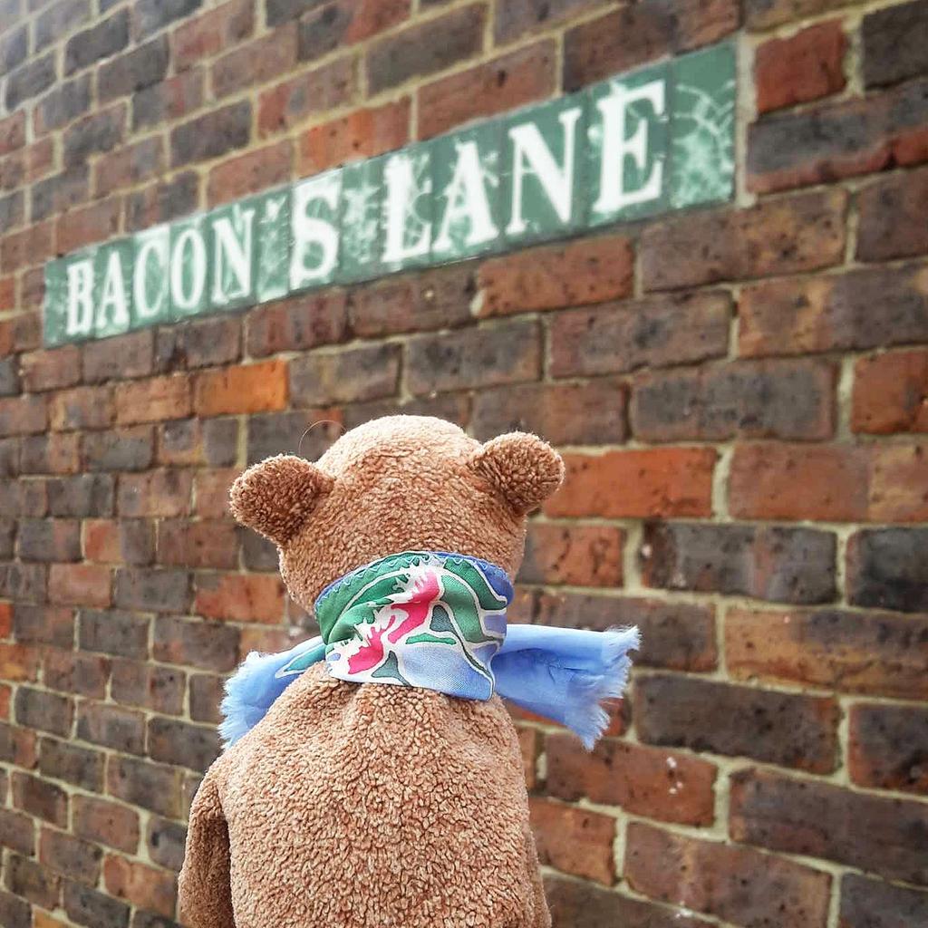 wallace_bear's tweet photo. #London is both #beautiful and #hysterical ❤ #WallaceTheLostBear #CouldntBeHappier #HighgateVillage #Bacon xx http://t.co/lFYVynZT8F