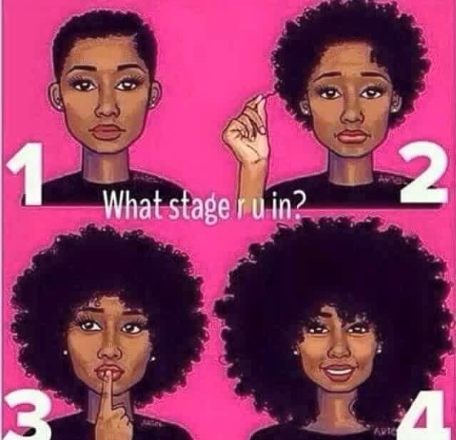 WOKseries's tweet photo. #MemeMonday What #stage are you in? #fade #minifro #inbetween #fullfro #hair #fro #WOKSeries http://t.co/kb8hDj9LkU http://t.co/mqsOxsxl2K