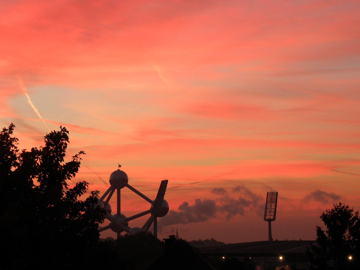 Kat 😻 tweet media