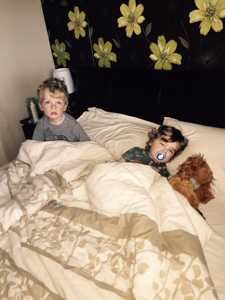 BoyleRhoda's tweet photo. @harveynormanIE these two have taken over my bed #HNBedHead #SleepPink would love a new bed 💖💖 http://t.co/hU5LcaBWHg