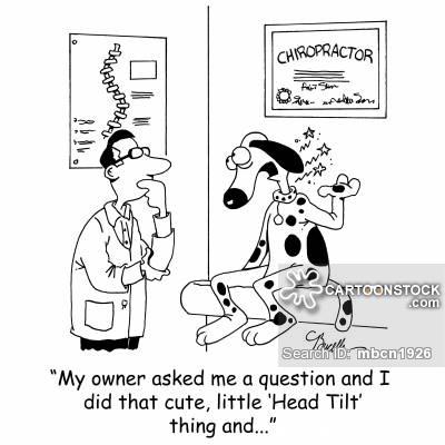 Ballas_Chiro's tweet photo. Humor is one of many ways to reduce stress and relieve tension! #NCHM2015 #PainFreeNation #funnychiro #BallasChiro http://t.co/YXJhZWNakO