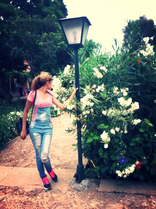 sofia_irh tweet picture