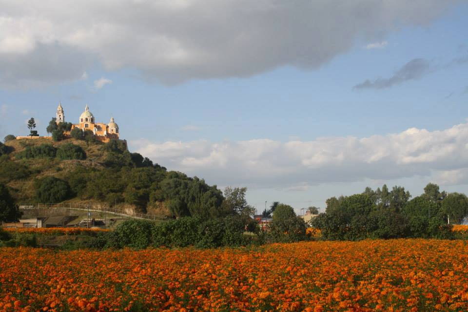 cervezacholula's tweet image. Octubre en Cholula.