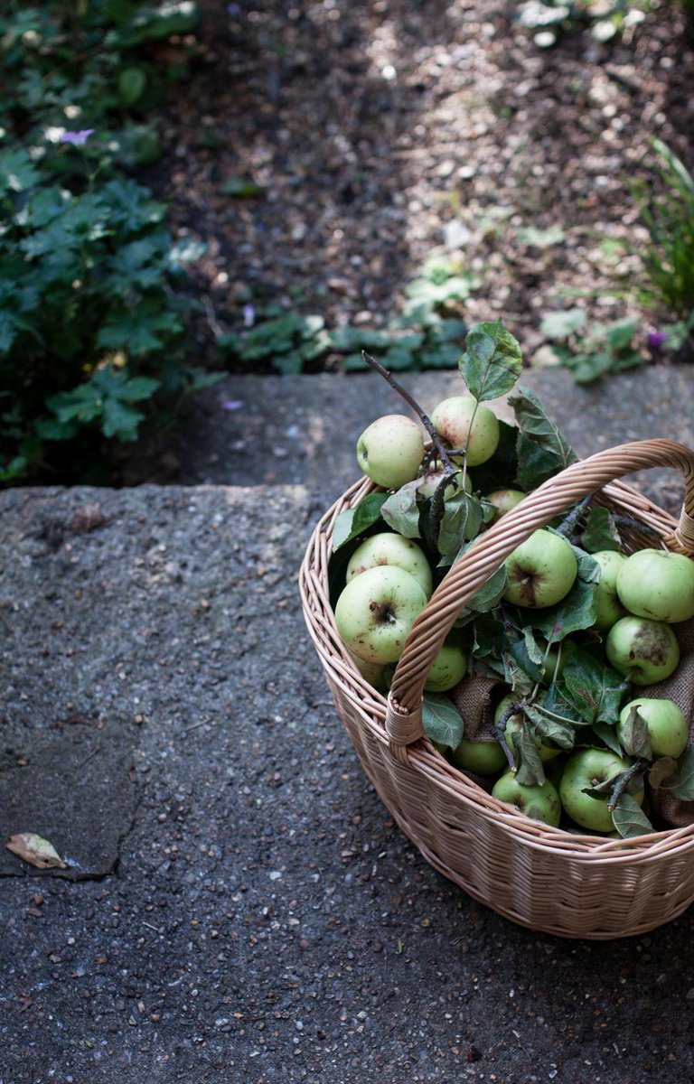 What I learned from <a href="/gkstories/">David Frenkiel</a> about #blogging at #FBC15 <a href="/bloggerconnect/">Food Blogger Connect</a> goo.gl/8kWUeL