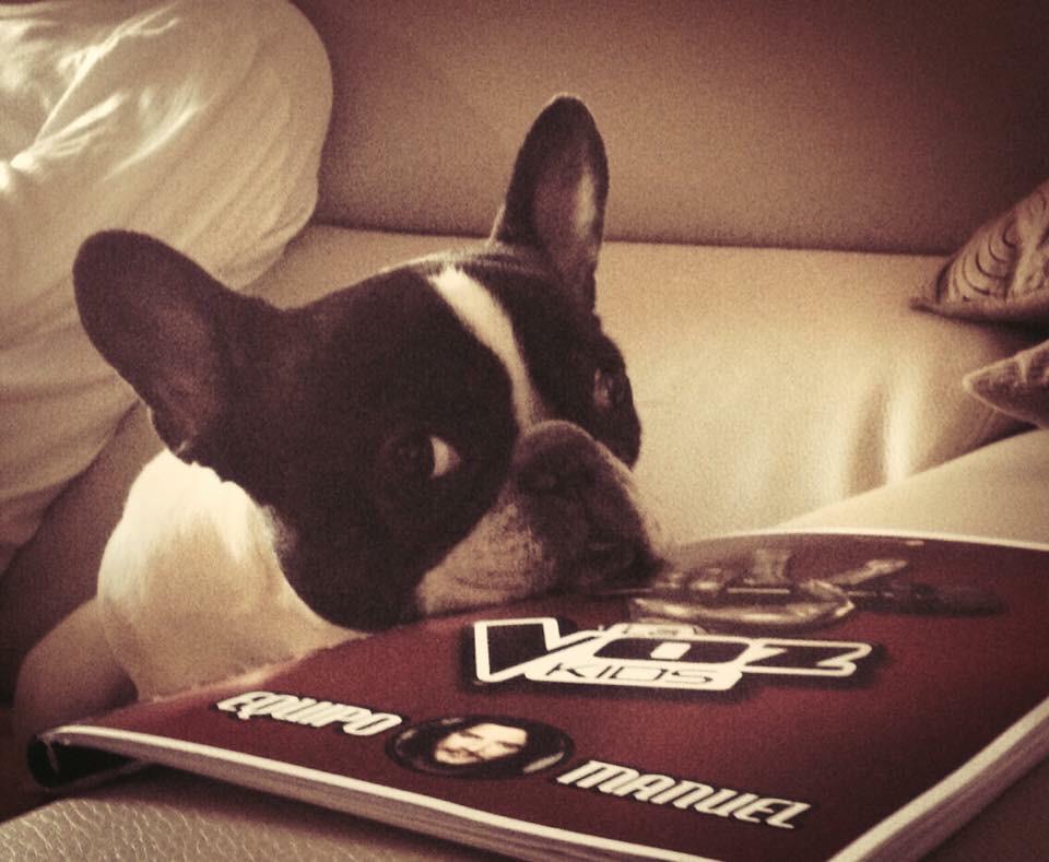 manuelcarrasco_'s tweet photo. La Lola va con nuestro equipo Aquí ayudándome ante tanto talento!me está chivando que me quede con..😅 @LaVozKidsEsp http://t.co/chNsV8cjsd