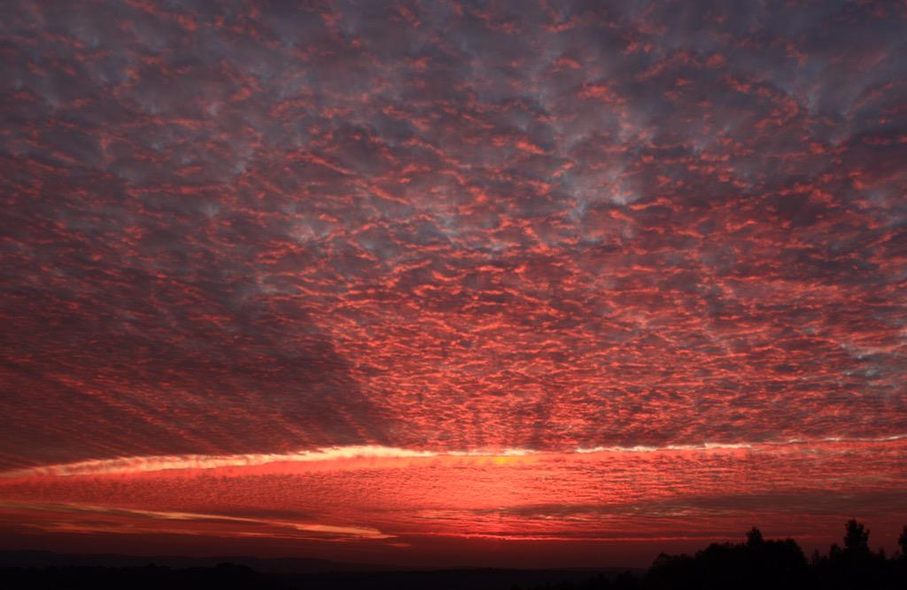 Joe Vitagliano tweet media