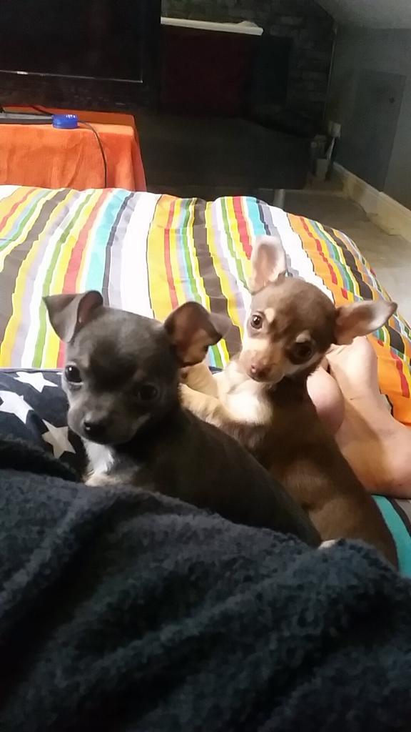 aaronmc142's tweet image. 