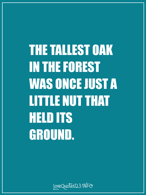 MSULiveOn's tweet photo. Here's your dose of #MotivationalMonday: We all have to start somewhere. Make sure you have room to grow! #MSU http://t.co/sKHvdQ5aLo