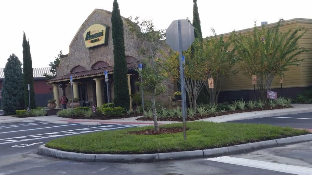 Last weekend's revamp, sod, plants and mulch