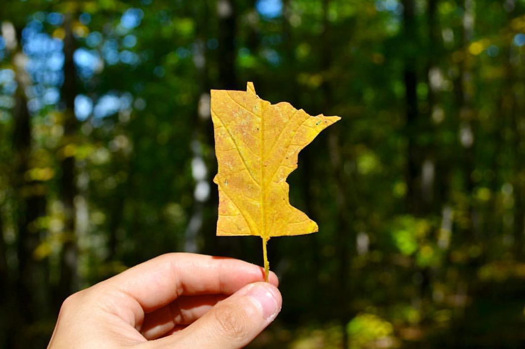 BestPixMN's tweet image. It's fall in #Minnesota

RT if this is your favorite time of year.