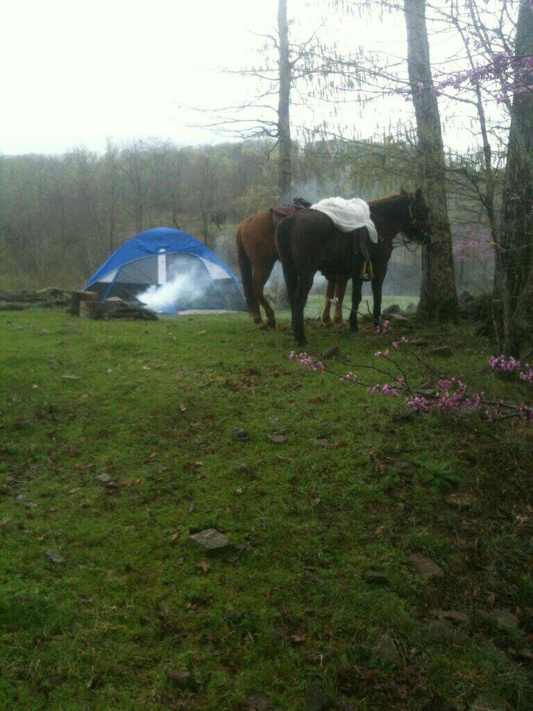 theoutdoore's tweet photo. Horseback riding and camping makes for a great weekend // #theOE #theoutdoorexplorer #exploreverday #outdoors #exp... http://t.co/LbS0H3O5gj