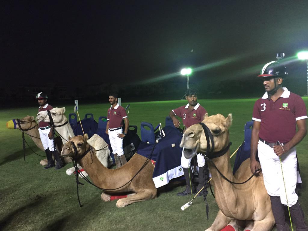 DynamicClaire's tweet image. Loving #camelpolo #Dubaiconference @DynamicEvents2 @BakerTillyInt