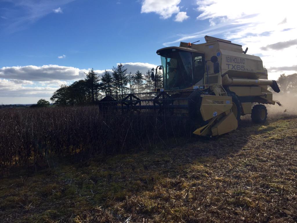 padraig_ocall's tweet photo. "@MichelleMoca83: Harvesting beans #harvest15 #bean #proteincrop @farmersjournal @padraig_ocall http://t.co/JyM8DjTDk7" #ocallaghanagri