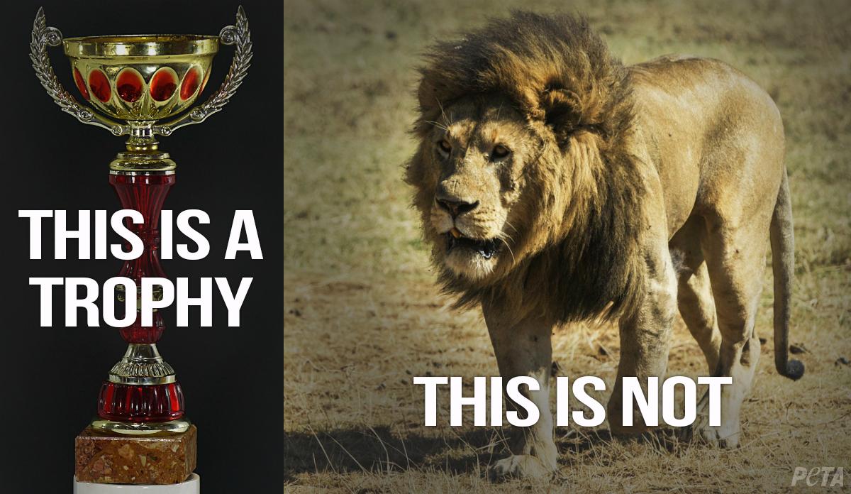 peta's tweet photo. Animals are not trophies! #BanHunting #CecilTheLion http://t.co/BxnRPfdQ1t