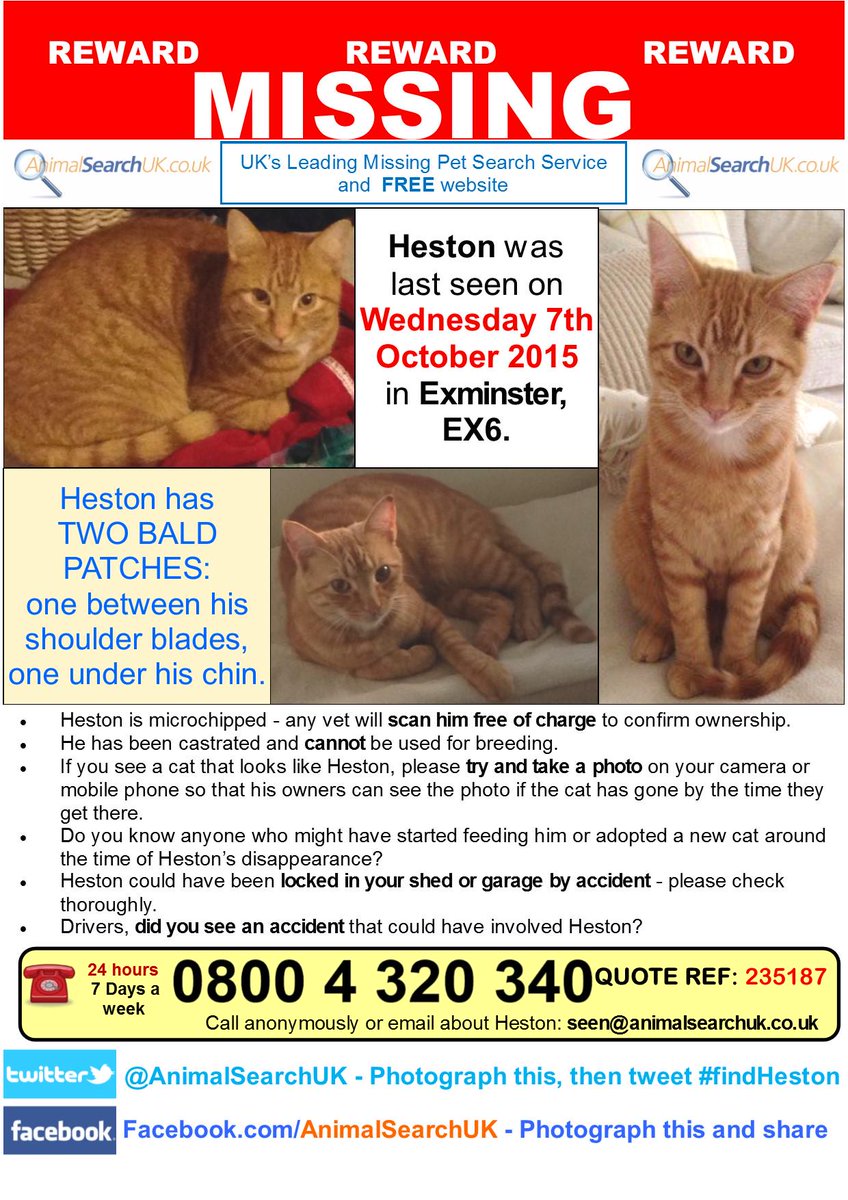 AnimalSearchUK's tweet photo. PLZ RT @PetplanUK #missingcat #exminster #devon #EX6 #findheston
http://t.co/wFqczhdcb4 … http://t.co/DD6Jxqp3Rw