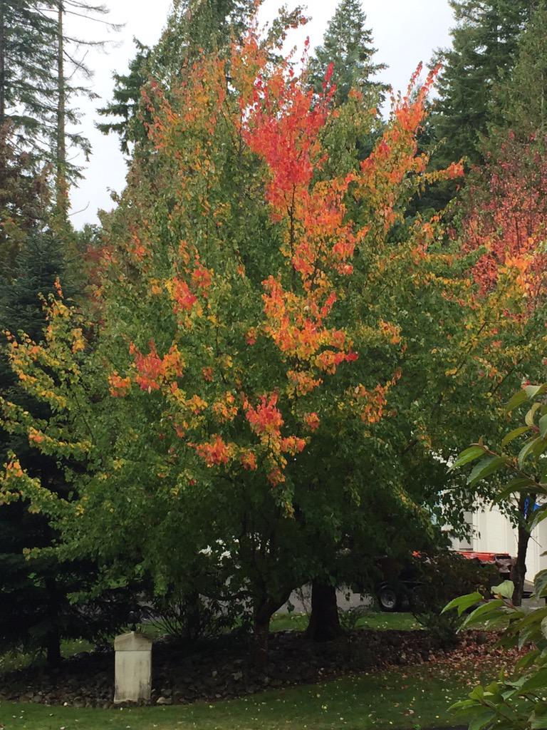 DebraSidor's tweet photo. Fall in the Harbor!!! http://t.co/UHD0eWAVY6