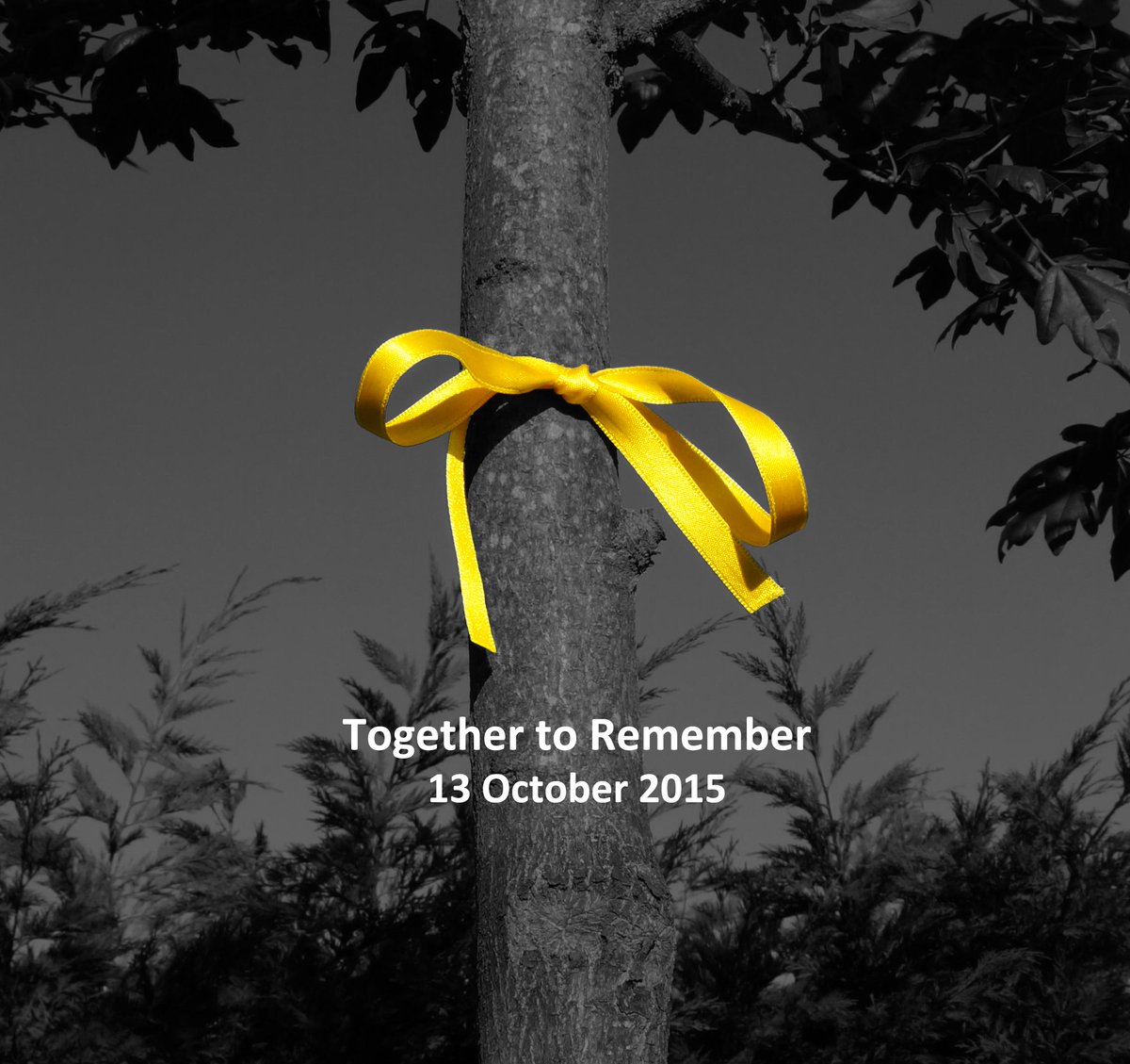 missingpeople's tweet photo. Write a message of support for families of missing people for #togethertoremember tomorrow http://t.co/4QAbZqSFbX http://t.co/UQUq9RHTWx