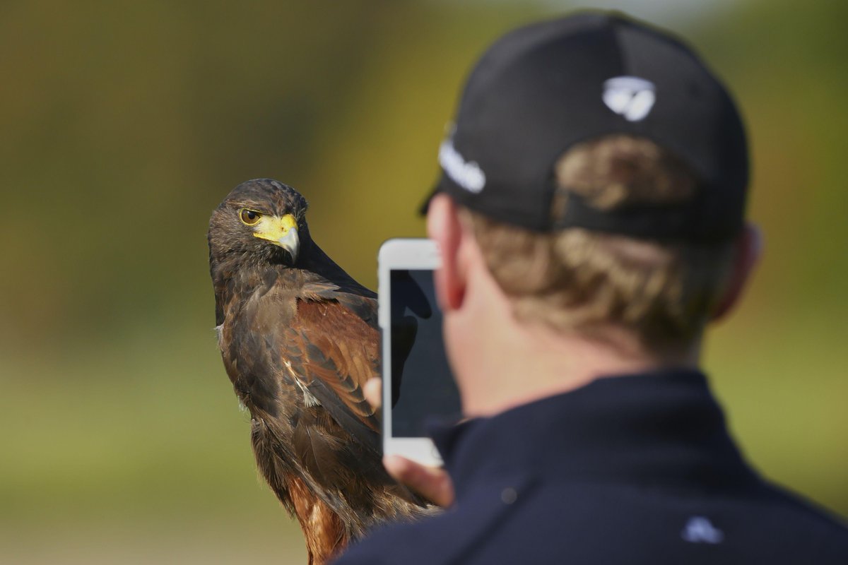 paulseverngolf's tweet photo. Smile for the Birdie! @DonaldsonJamie @TheGroveHotel @ZurichInsUK @TaylorMadeGolf http://t.co/02OmhsWG4W
