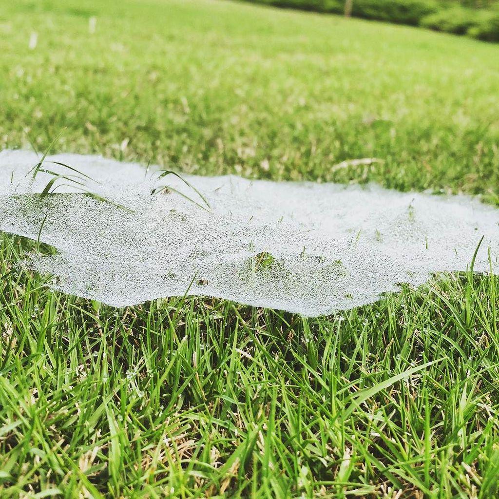 Phillip Winfrey tweet media