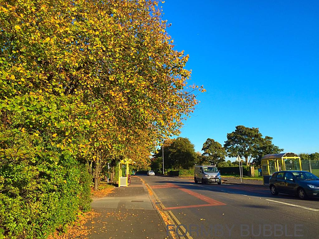 FormbyBubble's tweet photo. Please send us your Autumn photos of #Formby. We want to do an Autumn collection. Email: info@formbybubble.com http://t.co/LF2XsSfmtj
