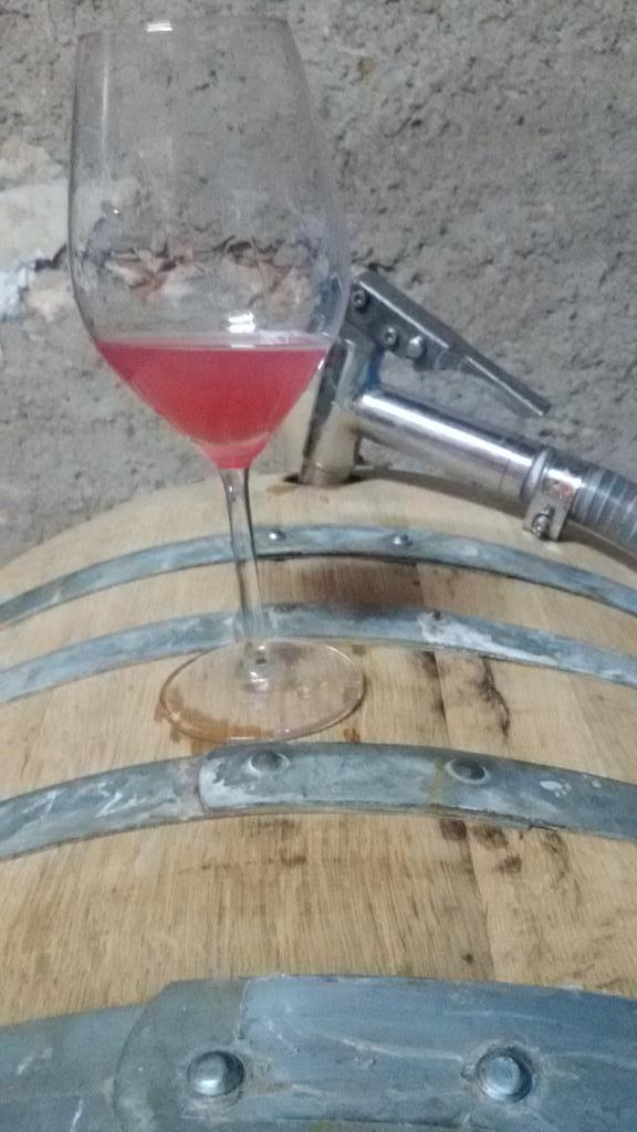 vins L'Apical tweet media