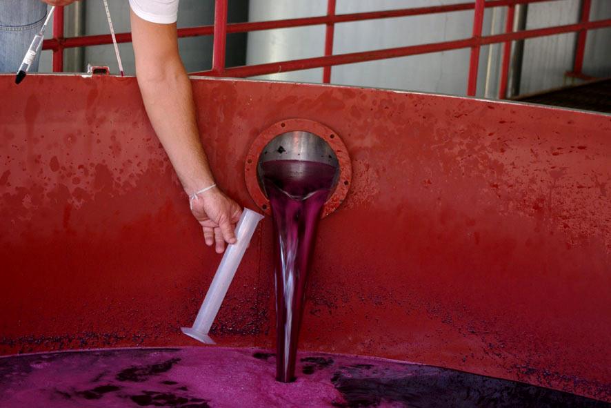 VisitDouro's tweet photo. Wine alcohol measuring!

"Medição de álcool do vinho!" http://t.co/rDozY53R4w