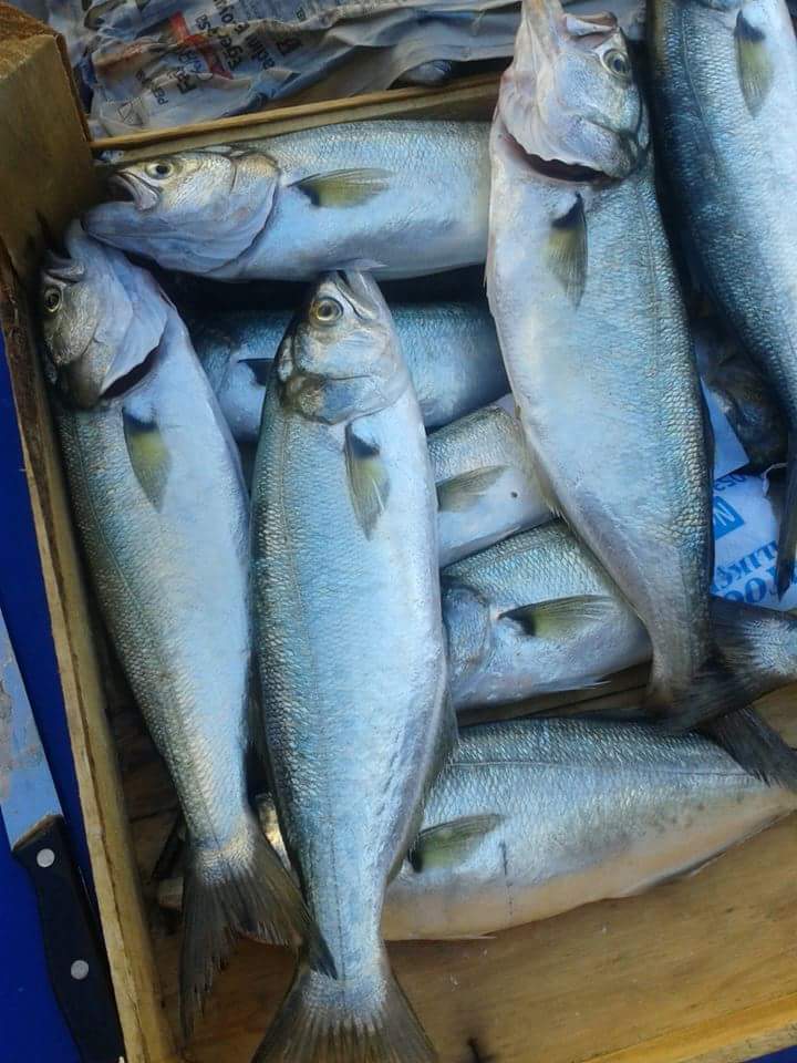 huso (@hkara198) on Twitter photo 