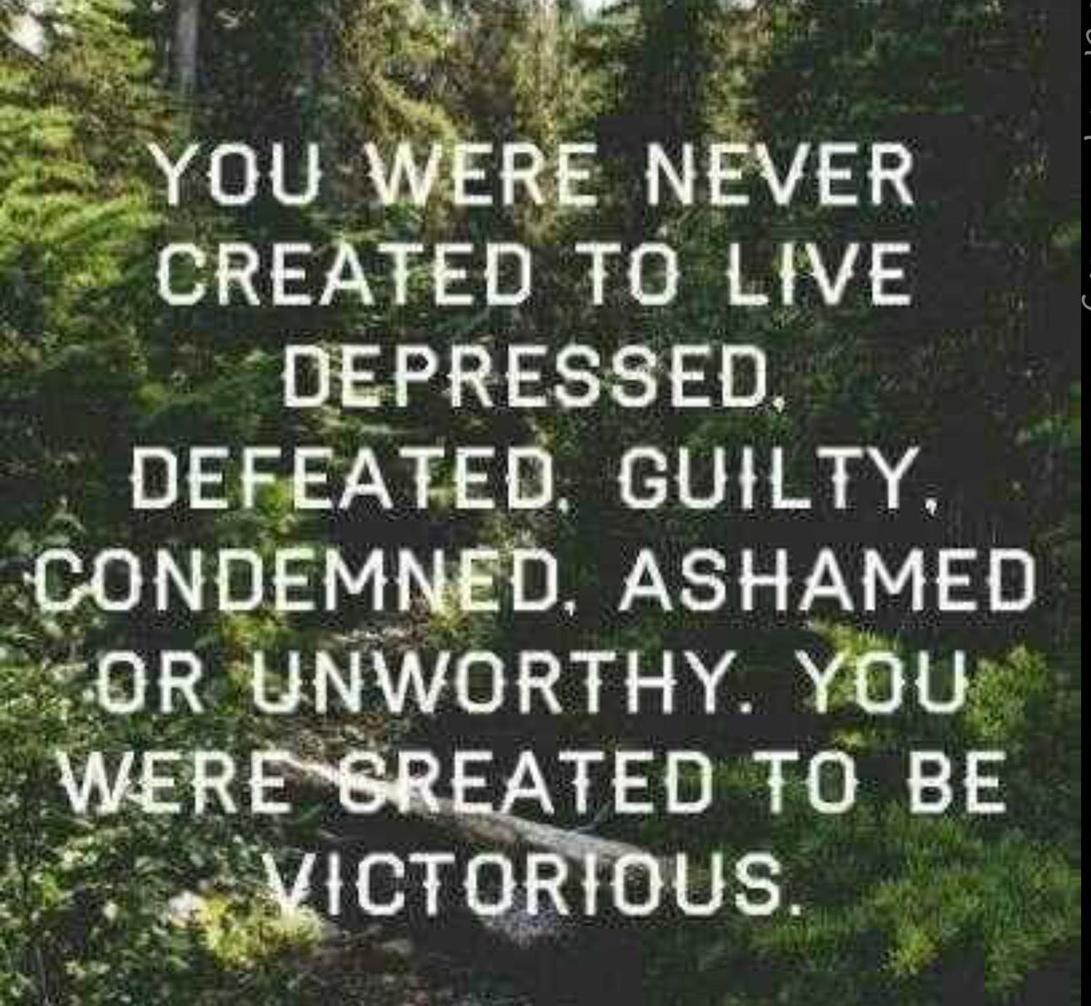 BrayCheekssb's tweet image. 