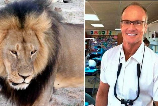 infogamatv's tweet photo. Zimbabue no acusará al dentista que cazó al león ‘Cecil’ http://t.co/NpY7dEGIsK http://t.co/q2ZrtcpwLE