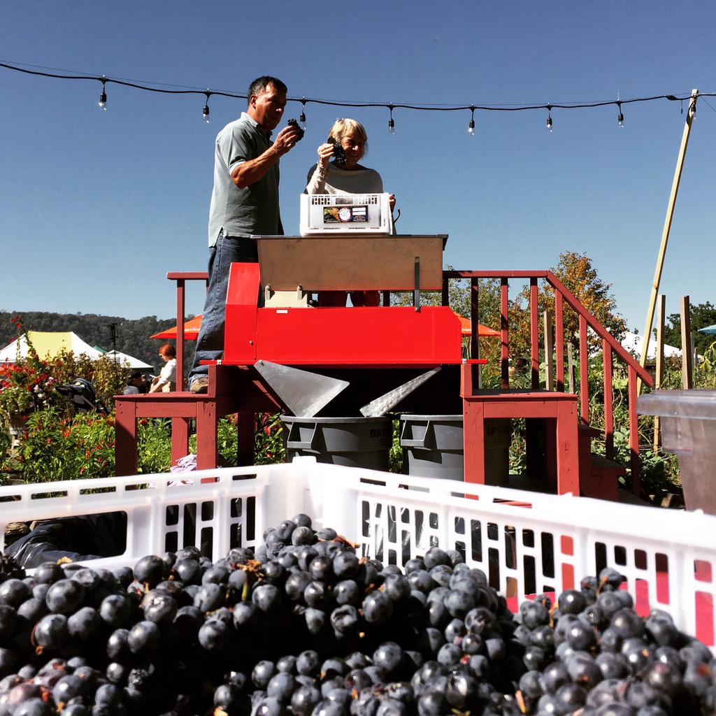 .@lohudfood #winecrush at Harvest on Hudson. Come on down till 4 pm @lohud