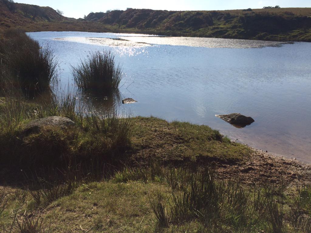 beckisant's tweet photo. A beautiful walk on sunny Bodmin moor with 'my boy' #beautifulcornwall #paddleandpicnic http://t.co/B01QuWNl0V