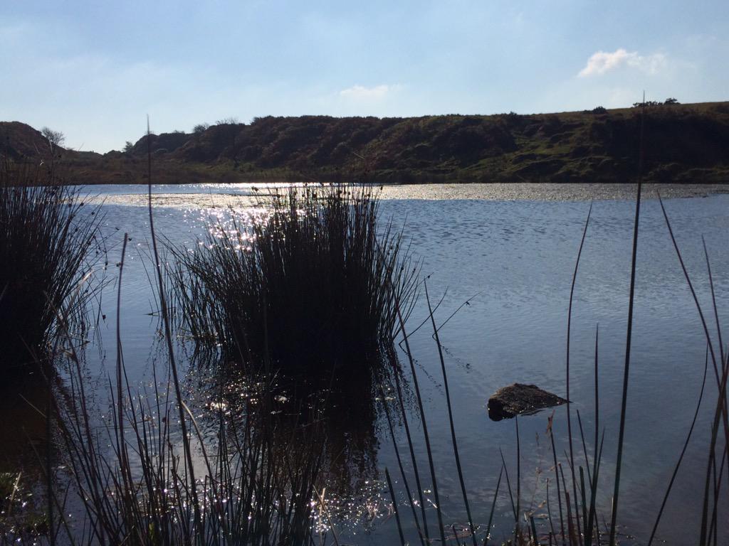 beckisant's tweet photo. A beautiful walk on sunny Bodmin moor with 'my boy' #beautifulcornwall #paddleandpicnic http://t.co/B01QuWNl0V