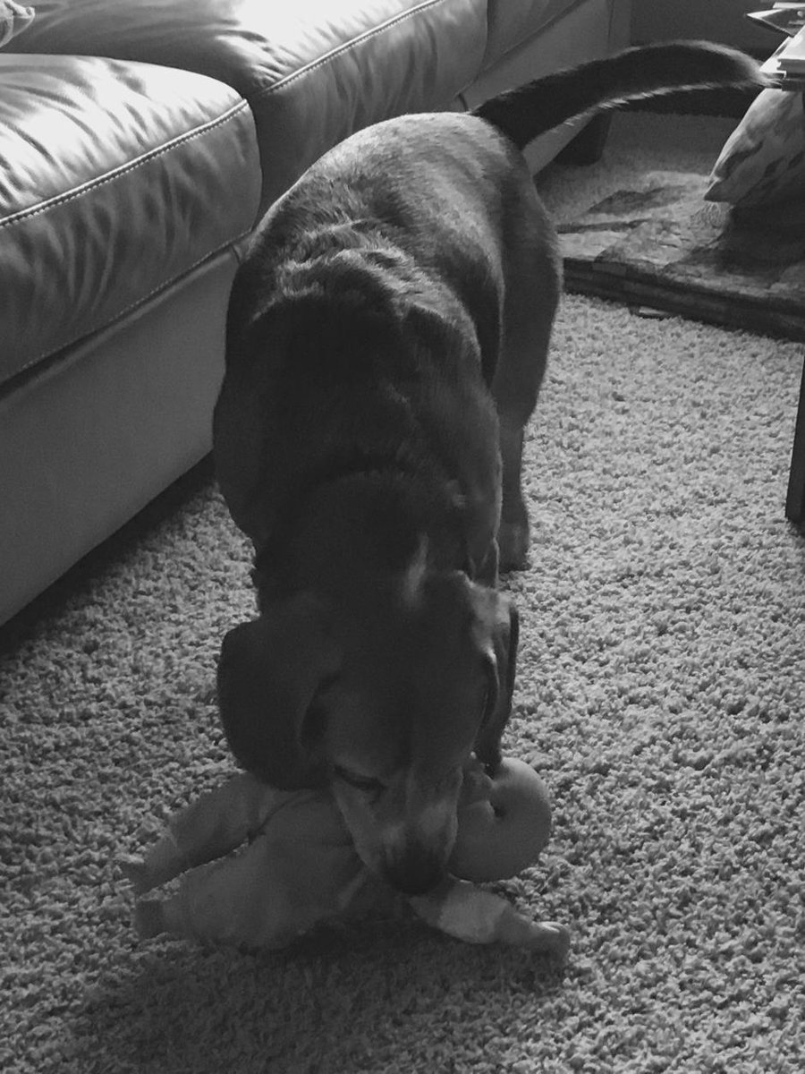 el_Lochto's tweet photo. Wilson has suffered another decrease in attention paid to him around here and has resorted to role play: http://t.co/g7DJX4D8Jl