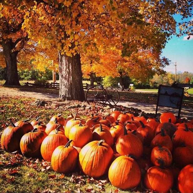 DBBalance's tweet image. Favorite season everrrr! #autumn #sweaterweather #Wisconsin