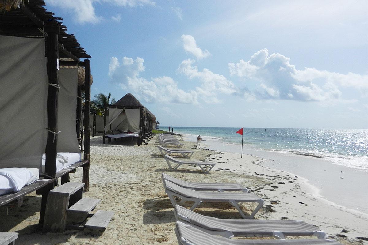 DesireResorts's tweet image. Desire Riviera Maya is where your wildest fantasies come true! 
#ActivitiesProgram here: blog.desireresorts.com/weekly-activit…