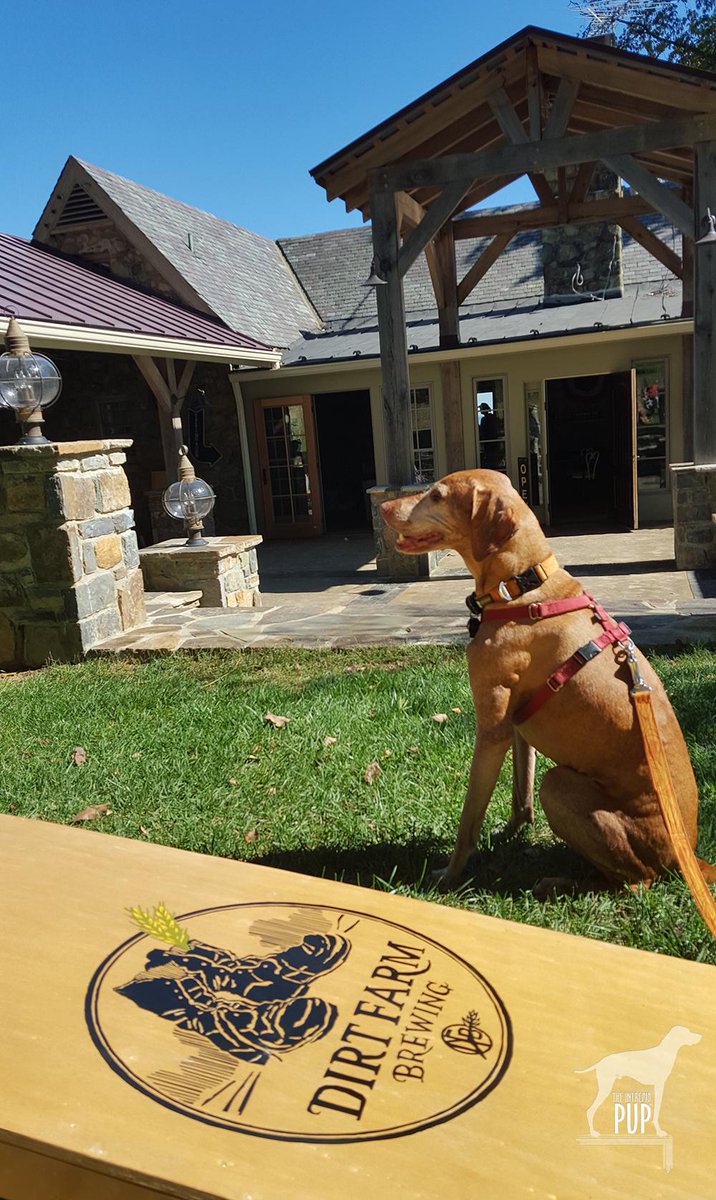 IntrepidPup's tweet image. Spent afternoon as a LoCo-vore &amp;amp; am definitely "loco" for the #LoCoAleTrail &amp;amp; these #dogfriendly spots! #PupsNPints