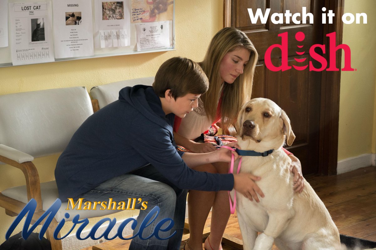 marshall_dog's tweet photo. Having a "Ruff" day? Snuggle up with your FURRY best friend and watch #MarshallsMiracle on @Dish NOW! http://t.co/8g5kNuTYbp